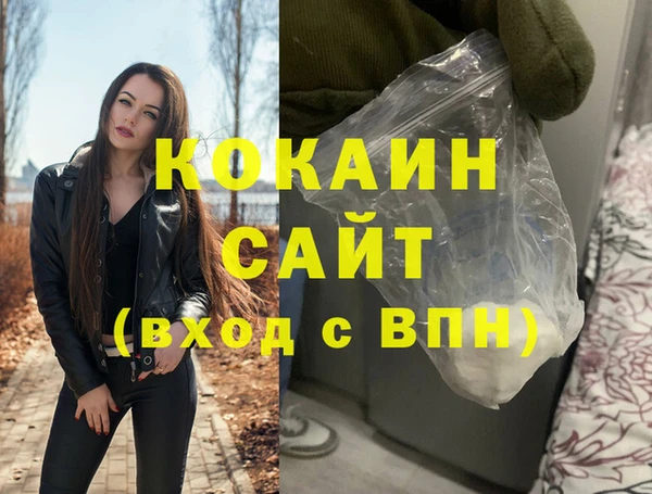 мдпв Инсар