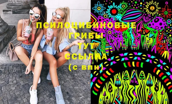 эйфоретик Алзамай